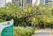 Prefeitura do Recife amplia campanha de prevenção da Covid-19, para os parques da cidade