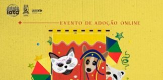 Programa Adote um Vira-Lata, da UFPE, realiza evento de adoção virtual nesta sexta-feira (19)