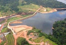 Barragens transformam Amazônia em zona de sacrifício, é o artigo de Philip Martin Fearnside