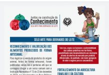 IPA lança cartilha com orientações sobre selo arte, para derivados do leite