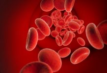 Hoje, 17 de abril, marca o Dia Mundial de Conscientização da Hemofilia