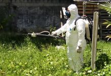 Jaboatão realiza ações de combate a arboviroses
