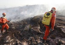 Ibama é autorizado a contratar temporariamente 1.659 profissionais
