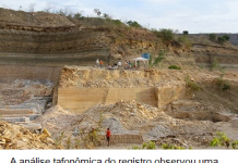 PALEONTOLOGIA: Fósseis de animais aquáticos de mais de 100 milhões de anos, são encontrados no Ceará