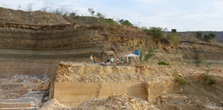 PALEONTOLOGIA: Fósseis de animais aquáticos de mais de 100 milhões de anos, são encontrados no Ceará