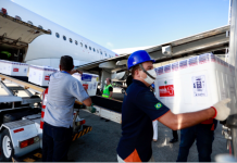 Mais 14.600 doses da Coronavac chegam a Pernambuco