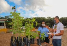 Vale do São Francisco comemora o Dia Mundial do Meio Ambiente, com plantio de mudas da Caatinga