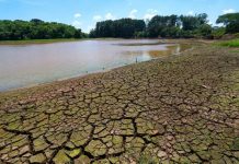 Santa Catarina investirá mais R$ 100 milhões em programas, para minimizar os impactos da estiagem no meio rural