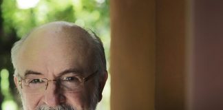 O grande inquisidor do Senado, é o artigo de Percival Puggina