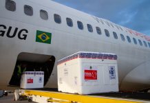 Pernambuco recebe mais de 411 mil vacinas contra a Covid-19, em um só dia