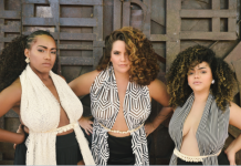 Clube do Samba de Recife celebra 12 anos com live