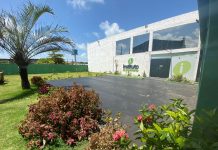 Instituto do Movimento celebra sete anos, com sete dias de aulas gratuitas