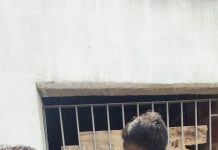 CREF12/PE interdita academias irregulares nas cidades de Ipojuca e Vitória de Santo Antão