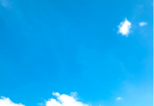 Dia das Crianças: Shopping Costa Dourada vai realizar mais uma edição da sua tradicional feira de adoção de Pets