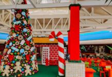 Natal 2021 reanima expectativa de vendas na Região Metropolitana do Recife