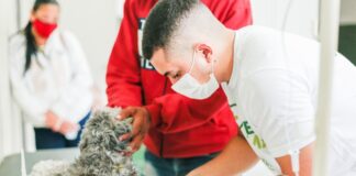 Prefeitura de Caruaru registra maior número de quimioterapias veterinárias e vacinação realizadas desde 2019