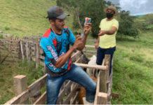 Secretaria de Agricultura de Jaqueira recebe cadastros de produtores rurais para vacinar animais