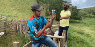 Secretaria de Agricultura de Jaqueira recebe cadastros de produtores rurais para vacinar animais