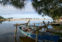 Governo de Santa Catarina aprova repasse de R$ 28 milhões para o fortalecimento da pesca no Estado