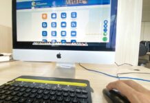 Portal da Transparência do Recife lança Chat automatizado