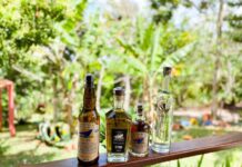 Cachaça do agreste pernambucano entre as 250 melhores do Brasil