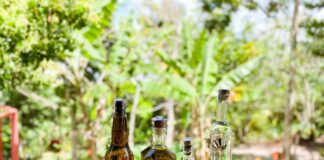 Cachaça do agreste pernambucano entre as 250 melhores do Brasil