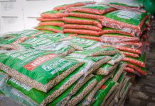 Prefeitura de Caruaru distribui sementes de milho e feijão para agricultores