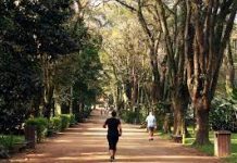 Em busca de contato com a natureza e vida mais saudável, brasileiros planejam intensificar visitas a parques no pós-pandemia