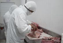 Com o maior confinamento de ovinos de Pernambuco, Grupo Bodeiro lança nova marca