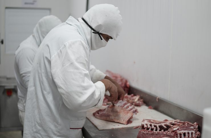 Com o maior confinamento de ovinos de Pernambuco, Grupo Bodeiro lança nova marca