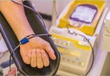 Doação de Sangue: Shopping Recife recebe ponto de coleta do Hemope
