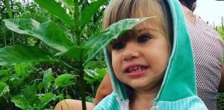 DIA NACIONAL DA CAATINGA: “Bioma perde R$ 10 bilhões por ano, enquanto cresce o desmatamento ao invés do recaatingamento”, diz Ecolume