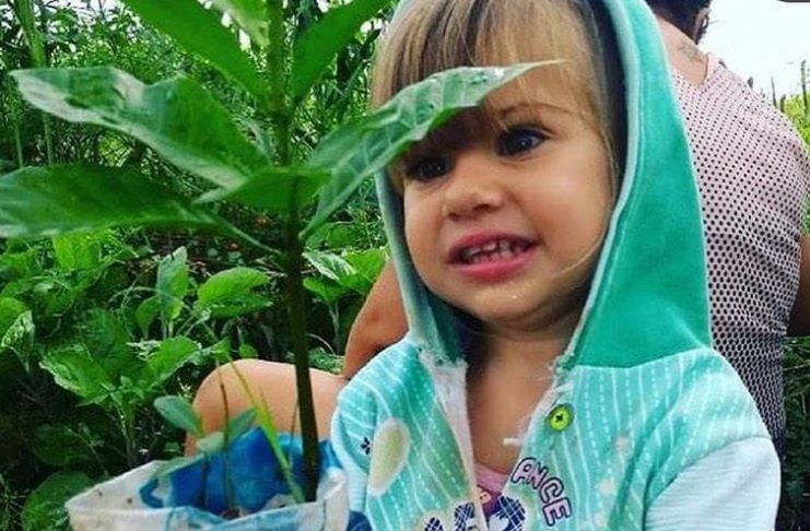 DIA NACIONAL DA CAATINGA: “Bioma perde R$ 10 bilhões por ano, enquanto cresce o desmatamento ao invés do recaatingamento”, diz Ecolume