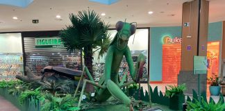 Shopping Tacaruna recebe a exposição Natureza Gigante