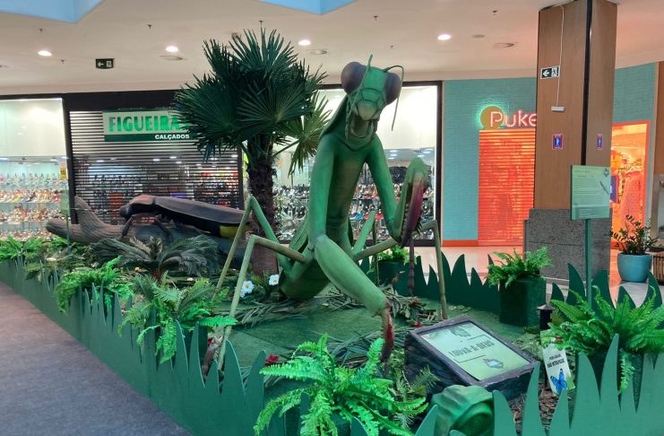 Shopping Tacaruna recebe a exposição Natureza Gigante