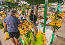 CARUARU: Feira da Agricultura Familiar será realizada nesta quarta-feira(20)