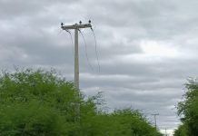 Furto de cabos da rede elétrica: Neoenergia Pernambuco alerta para os perigos causados