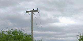 Furto de cabos da rede elétrica: Neoenergia Pernambuco alerta para os perigos causados