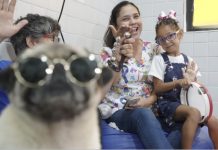 Jaboatão: Crianças com autismo fazem tratamento com terapia musical na Arena Cão Terapia