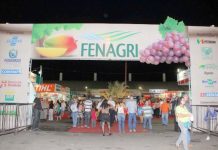 Rota da Fruticultura da Ride/DF vai expor iniciativas exitosas na Fenagri 2022
