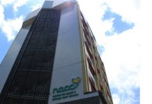 NACC reforça no Dia do Doar, a importância de doações e voluntariado