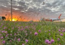Aeroporto de Petrolina orienta moradores sobre cuidados com fauna e flora, nas proximidades do sítio aeroportuário