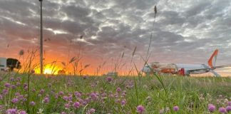 Aeroporto de Petrolina orienta moradores sobre cuidados com fauna e flora, nas proximidades do sítio aeroportuário