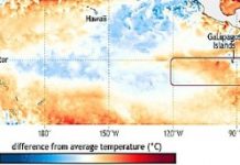Novas condições atmosféricas na costa nordestina devem trazer chuva na zona canavieira de PE