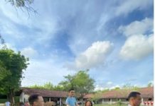 Equovisitas integram terapia para desenvolvimento de crianças com autismo