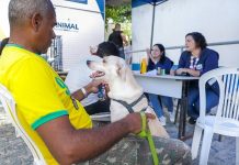 Jaboatão promove Mutirão de Castração Animal