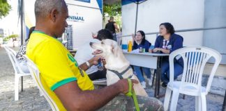 Jaboatão promove Mutirão de Castração Animal