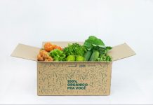 Feirinha de Orgânicos do Plaza Shopping se une à nutricionista, Débora Wagner, para oferecer boxes de frutas e verduras com receitas práticas de alimentação saudável