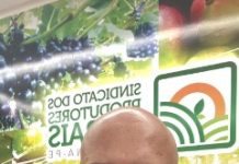 29ª Campanha Salarial da Fruticultura Irrigada do Vale do São Francisco (CCT 2023), chega a um acordo de R$1.354,00 para trabalhadores rurais