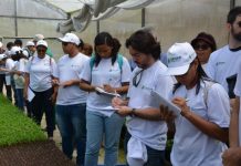 Inscrições para cursos técnicos gratuitos do Senar-PE, encerram nesta segunda (10)